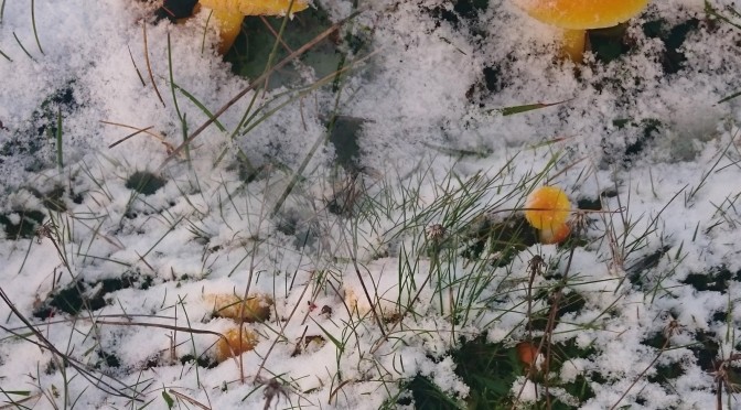 November