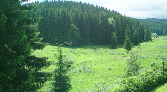 Stützerbach