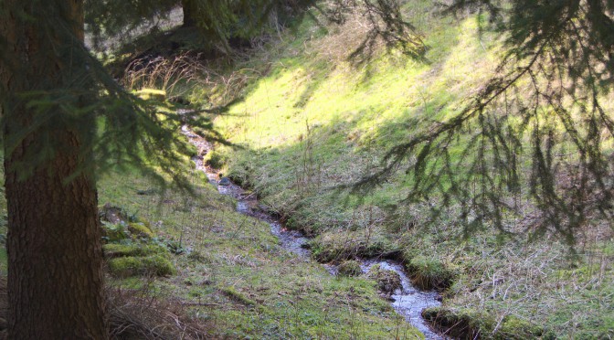 Der Suhler Domberg im April