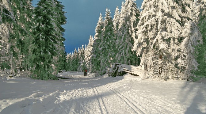 Winterlicher Großer Beerberg