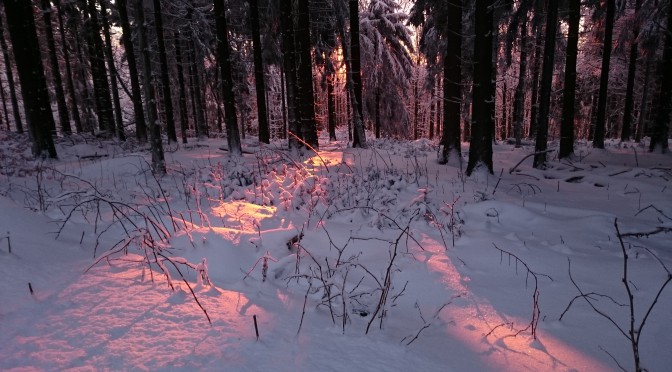 Winterabendrot